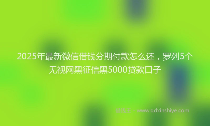 2025年最新微信借钱分期付款怎么还，罗列5个无视网黑征信黑5000贷款口子