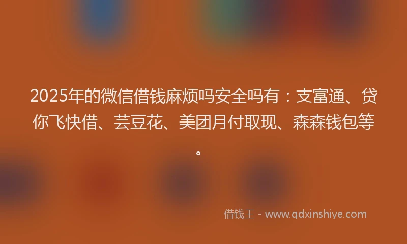 2025年的微信借钱麻烦吗安全吗有：支富通、贷你飞快借、芸豆花、美团月付取现、森森钱包等。