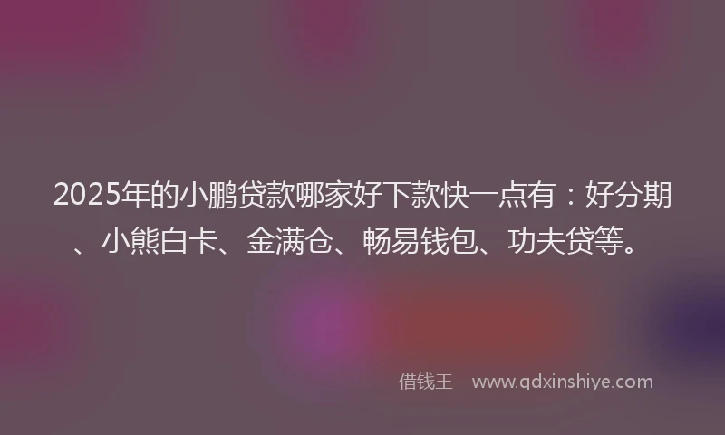 2025年的小鹏贷款哪家好下款快一点有：好分期、小熊白卡、金满仓、畅易钱包、功夫贷等。