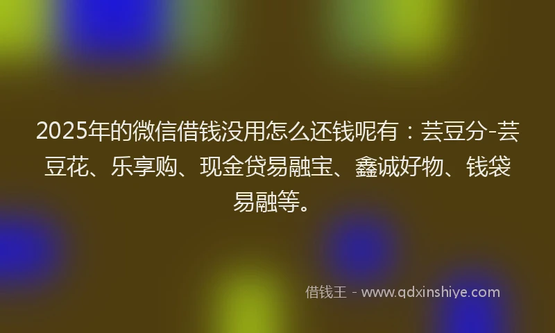 2025年的微信借钱没用怎么还钱呢有：芸豆分-芸豆花、乐享购、现金贷易融宝、鑫诚好物、钱袋易融等。