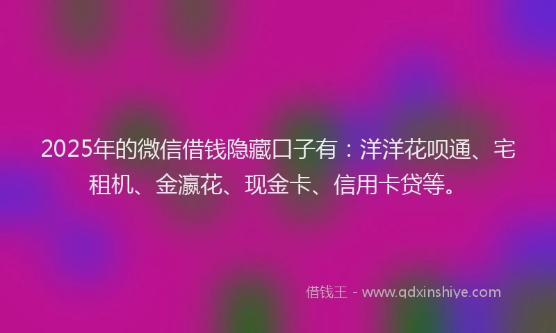 2025年的微信借钱隐藏口子有：洋洋花呗通、宅租机、金瀛花、现金卡、信用卡贷等。