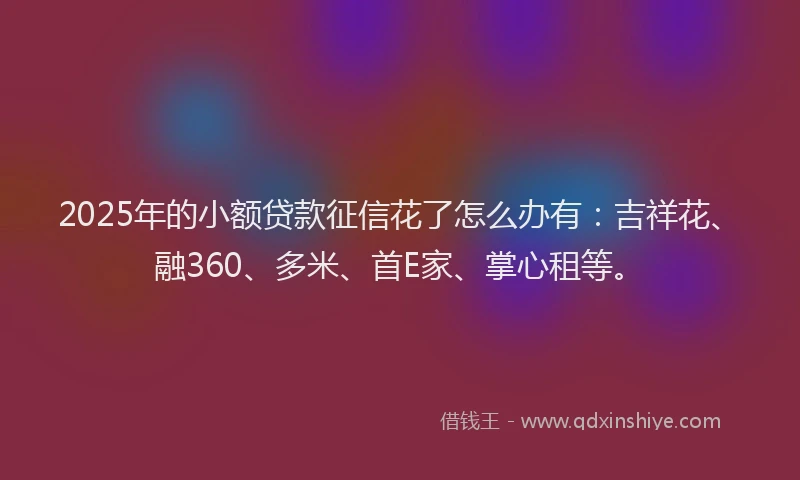 2025年的小额贷款征信花了怎么办有：吉祥花、融360、多米、首E家、掌心租等。