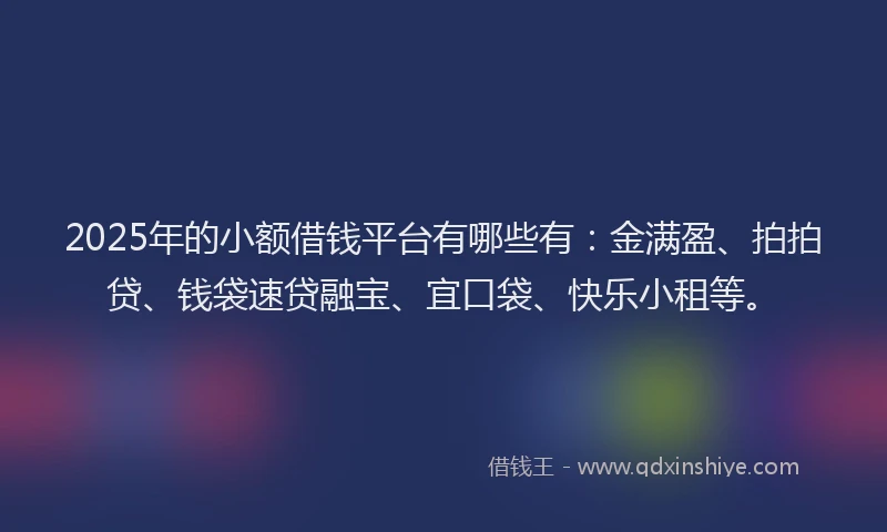 2025年的小额借钱平台有哪些有：金满盈、拍拍贷、钱袋速贷融宝、宜口袋、快乐小租等。