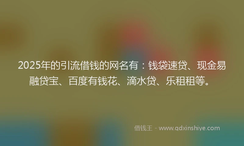 2025年的引流借钱的网名有：钱袋速贷、现金易融贷宝、百度有钱花、滴水贷、乐租租等。
