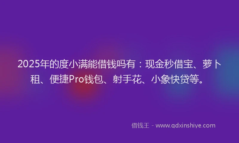2025年的度小满能借钱吗有：现金秒借宝、萝卜租、便捷Pro钱包、射手花、小象快贷等。