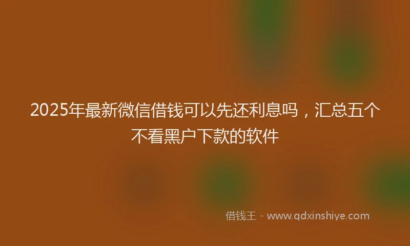 2025年最新微信借钱可以先还利息吗，汇总五个不看黑户下款的软件