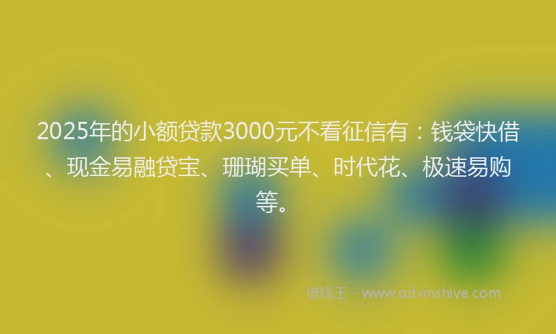 2025年的小额贷款3000元不看征信有：钱袋快借、现金易融贷宝、珊瑚买单、时代花、极速易购等。