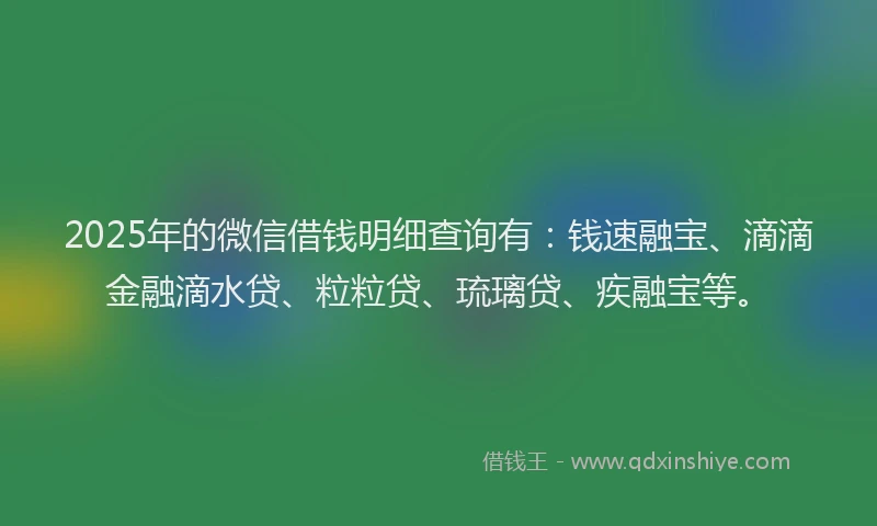 2025年的微信借钱明细查询有：钱速融宝、滴滴金融滴水贷、粒粒贷、琉璃贷、疾融宝等。