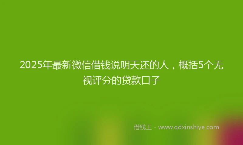 2025年最新微信借钱说明天还的人，概括5个无视评分的贷款口子
