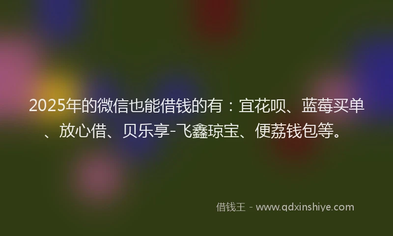 2025年的微信也能借钱的有：宜花呗、蓝莓买单、放心借、贝乐享-飞鑫琼宝、便荔钱包等。