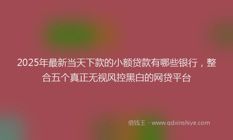 2025年最新当天下款的小额贷款有哪些银行，整合五个真正无视风控黑白的网贷平台