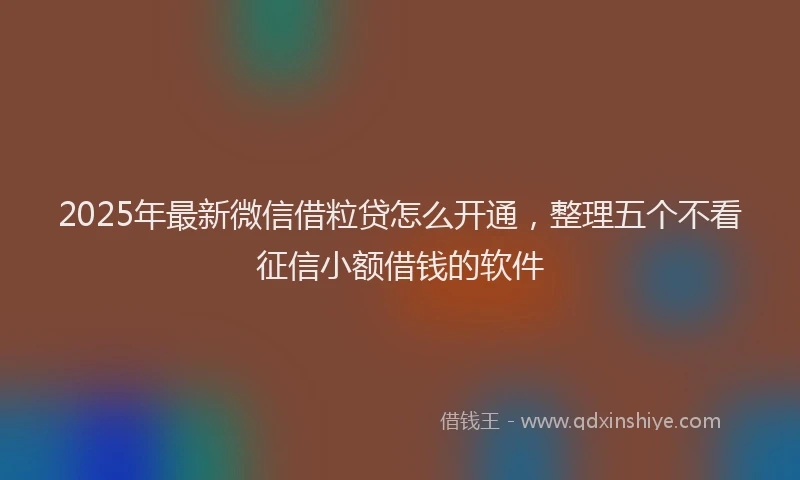 2025年最新微信借粒贷怎么开通，整理五个不看征信小额借钱的软件