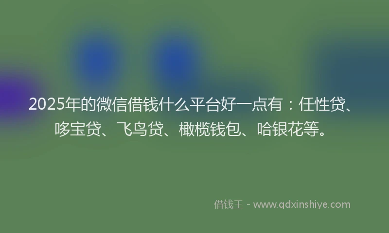 2025年的微信借钱什么平台好一点有：任性贷、哆宝贷、飞鸟贷、橄榄钱包、哈银花等。