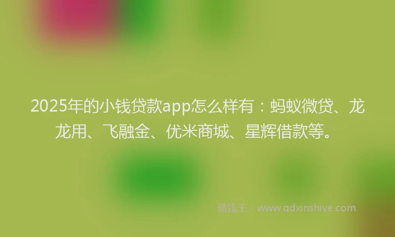 2025年的小钱贷款app怎么样有：蚂蚁微贷、龙龙用、飞融金、优米商城、星辉借款等。