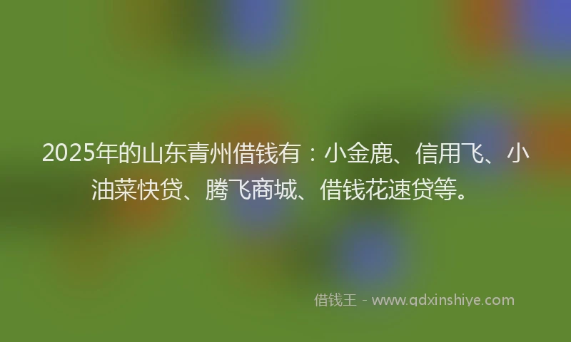 2025年的山东青州借钱有：小金鹿、信用飞、小油菜快贷、腾飞商城、借钱花速贷等。