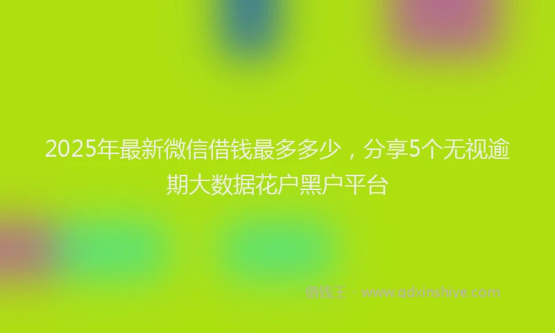 2025年最新微信借钱最多多少，分享5个无视逾期大数据花户黑户平台