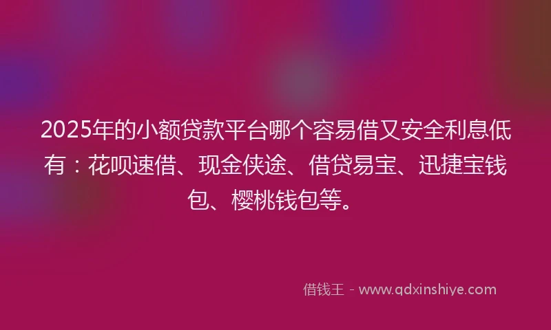 2025年的小额贷款平台哪个容易借又安全利息低有：花呗速借、现金侠途、借贷易宝、迅捷宝钱包、樱桃钱包等。