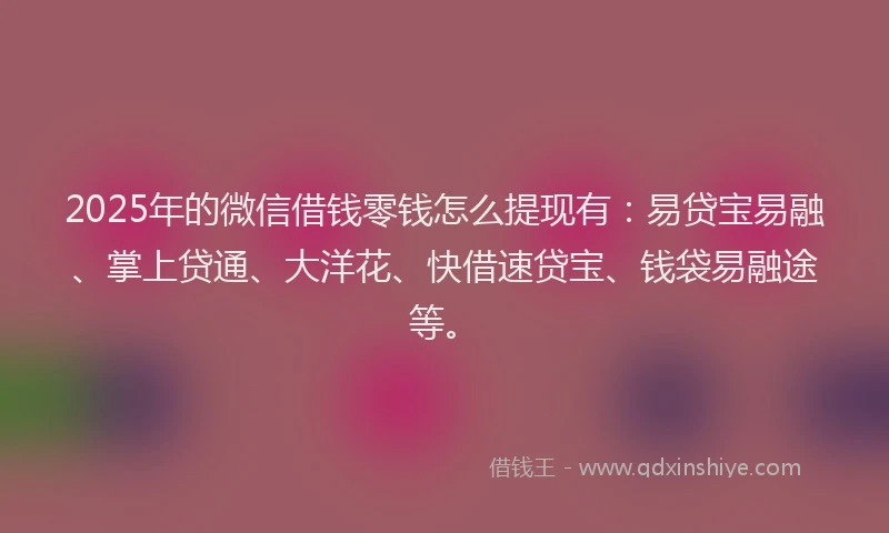 2025年的微信借钱零钱怎么提现有：易贷宝易融、掌上贷通、大洋花、快借速贷宝、钱袋易融途等。