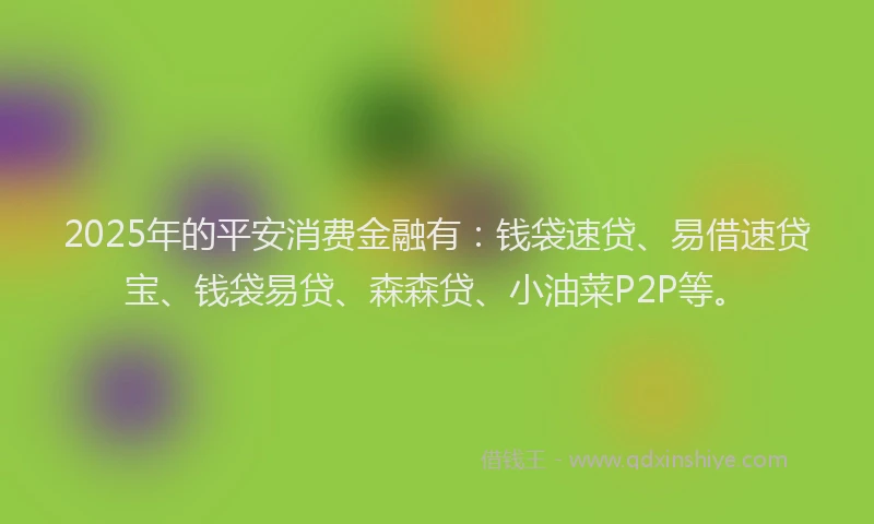 2025年的平安消费金融有：钱袋速贷、易借速贷宝、钱袋易贷、森森贷、小油菜P2P等。