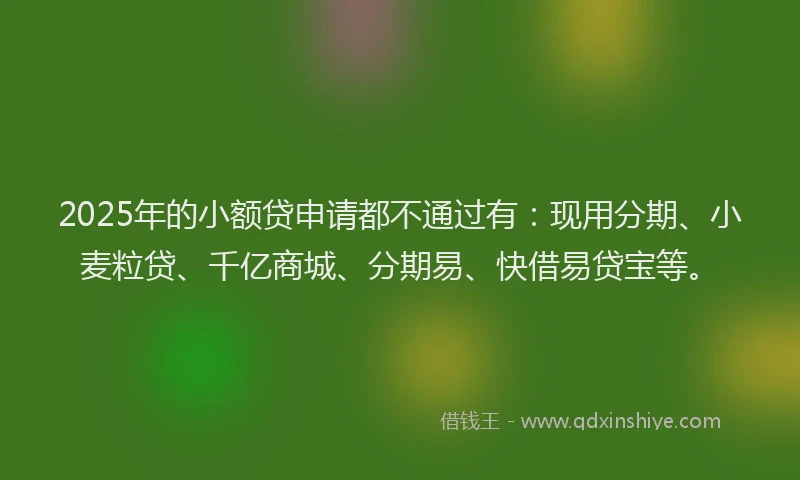 2025年的小额贷申请都不通过有：现用分期、小麦粒贷、千亿商城、分期易、快借易贷宝等。