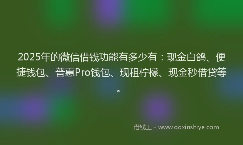 2025年的微信借钱功能有多少有：现金白鸽、便捷钱包、普惠Pro钱包、现租柠檬、现金秒借贷等。