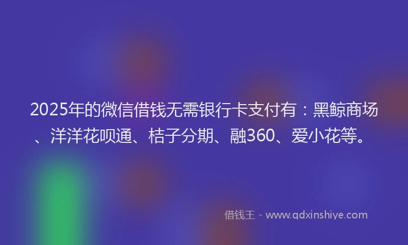 2025年的微信借钱无需银行卡支付有：黑鲸商场、洋洋花呗通、桔子分期、融360、爱小花等。