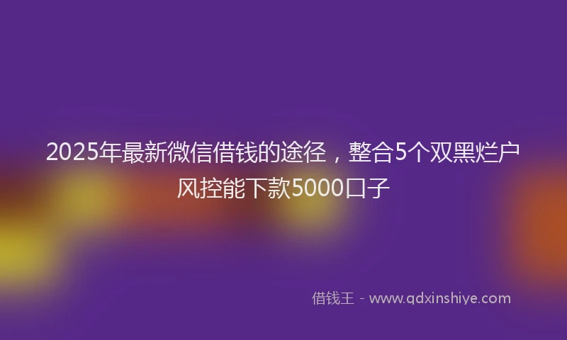 2025年最新微信借钱的途径，整合5个双黑烂户风控能下款5000口子