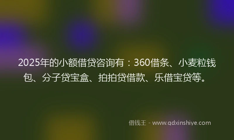 2025年的小额借贷咨询有：360借条、小麦粒钱包、分子贷宝盒、拍拍贷借款、乐借宝贷等。