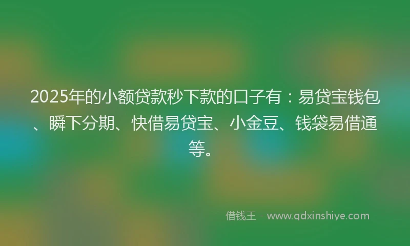 2025年的小额贷款秒下款的口子有：易贷宝钱包、瞬下分期、快借易贷宝、小金豆、钱袋易借通等。