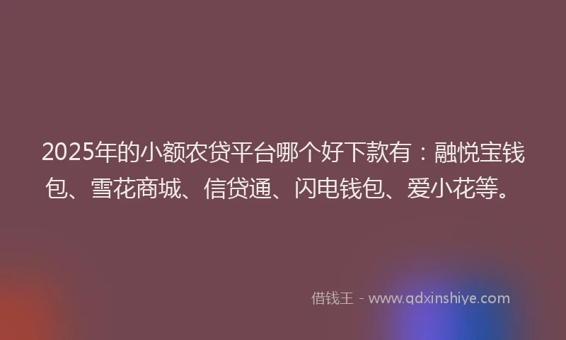 2025年的小额农贷平台哪个好下款有：融悦宝钱包、雪花商城、信贷通、闪电钱包、爱小花等。
