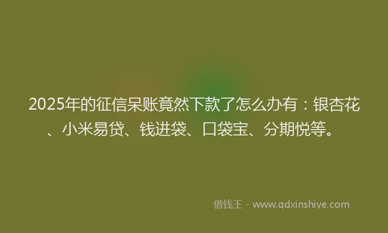 2025年的征信呆账竟然下款了怎么办有：银杏花、小米易贷、钱进袋、口袋宝、分期悦等。