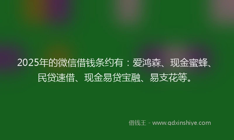 2025年的微信借钱条约有：爱鸿森、现金蜜蜂、民贷速借、现金易贷宝融、易支花等。