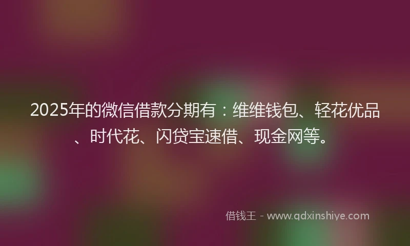 2025年的微信借款分期有：维维钱包、轻花优品、时代花、闪贷宝速借、现金网等。