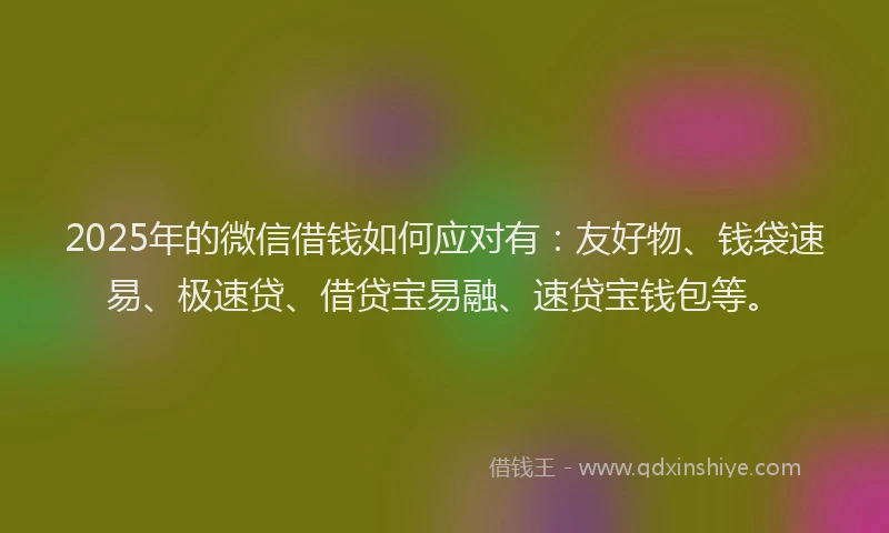 2025年的微信借钱如何应对有：友好物、钱袋速易、极速贷、借贷宝易融、速贷宝钱包等。