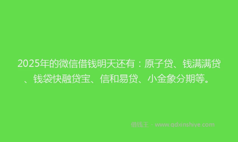 2025年的微信借钱明天还有：原子贷、钱满满贷、钱袋快融贷宝、信和易贷、小金象分期等。