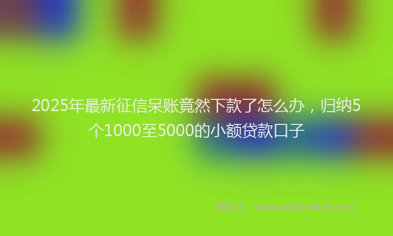 2025年最新征信呆账竟然下款了怎么办，归纳5个1000至5000的小额贷款口子