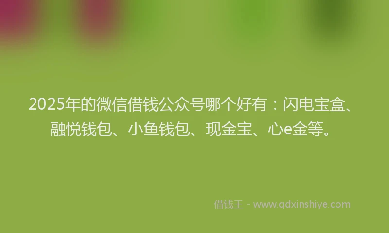 2025年的微信借钱公众号哪个好有：闪电宝盒、融悦钱包、小鱼钱包、现金宝、心e金等。