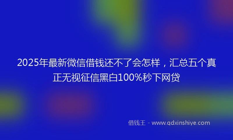 2025年最新微信借钱还不了会怎样，汇总五个真正无视征信黑白100%秒下网贷