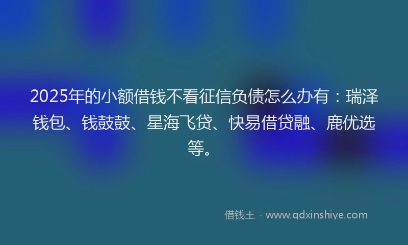 2025年的小额借钱不看征信负债怎么办有：瑞泽钱包、钱鼓鼓、星海飞贷、快易借贷融、鹿优选等。