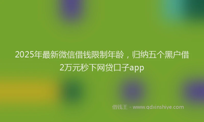 2025年最新微信借钱限制年龄，归纳五个黑户借2万元秒下网贷口子app