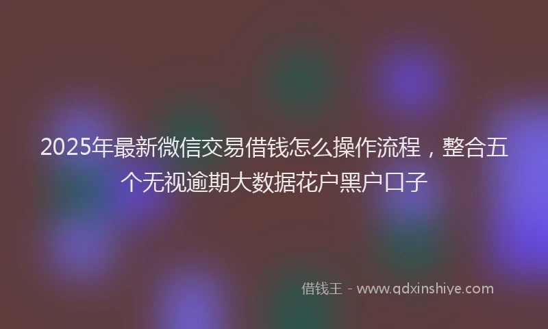 2025年最新微信交易借钱怎么操作流程，整合五个无视逾期大数据花户黑户口子