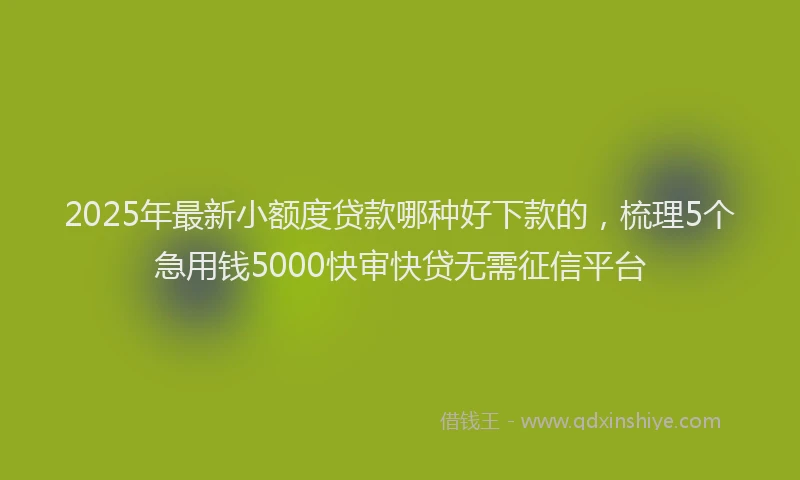 2025年最新小额度贷款哪种好下款的，梳理5个急用钱5000快审快贷无需征信平台