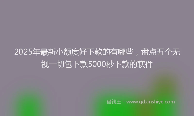 2025年最新小额度好下款的有哪些，盘点五个无视一切包下款5000秒下款的软件