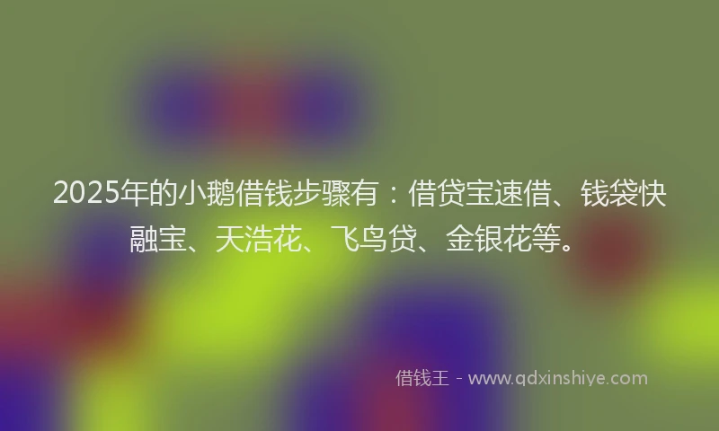 2025年的小鹅借钱步骤有：借贷宝速借、钱袋快融宝、天浩花、飞鸟贷、金银花等。