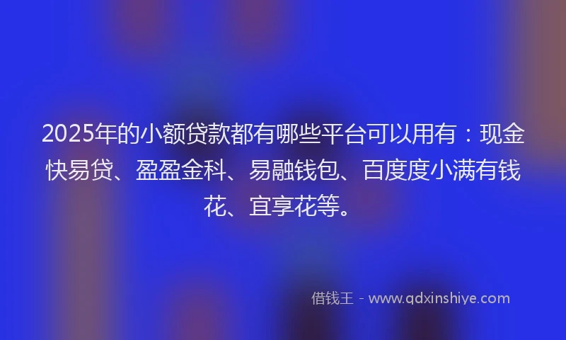 2025年的小额贷款都有哪些平台可以用有：现金快易贷、盈盈金科、易融钱包、百度度小满有钱花、宜享花等。
