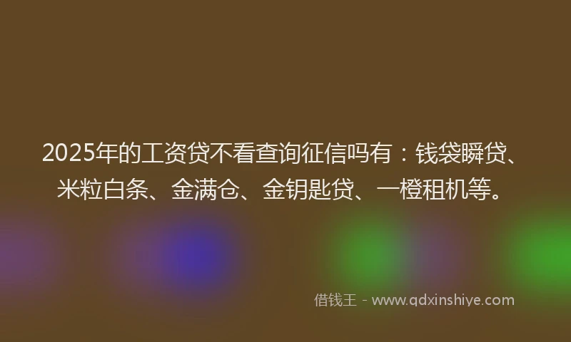 2025年的工资贷不看查询征信吗有：钱袋瞬贷、米粒白条、金满仓、金钥匙贷、一橙租机等。