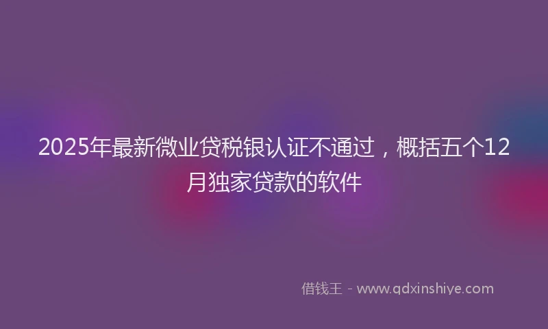 2025年最新微业贷税银认证不通过，概括五个12月独家贷款的软件