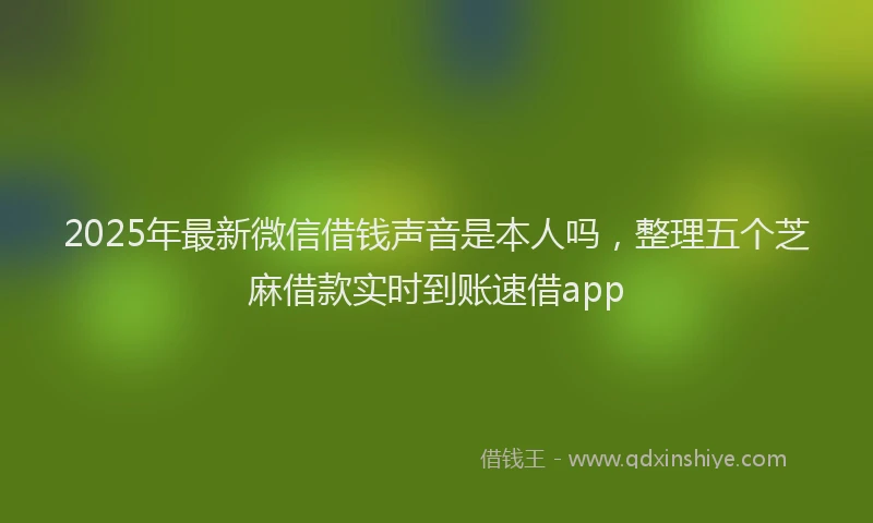 2025年最新微信借钱声音是本人吗，整理五个芝麻借款实时到账速借app