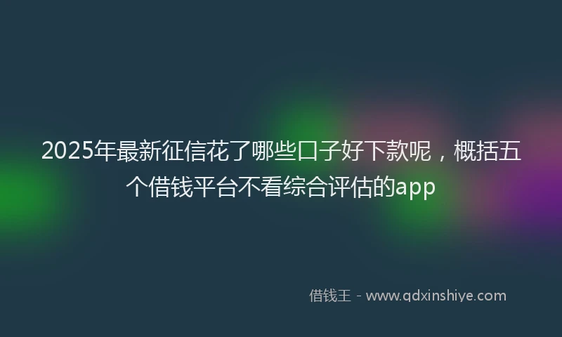 2025年最新征信花了哪些口子好下款呢，概括五个借钱平台不看综合评估的app