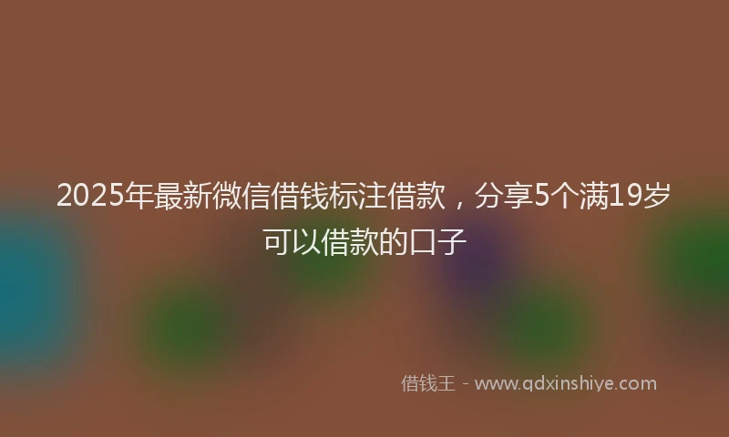 2025年最新微信借钱标注借款，分享5个满19岁可以借款的口子